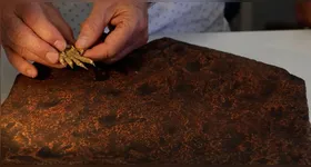 Pesquisador compara garra de réptil moderno com pegadas fossilizadas preservadas em laje de arenito do sudeste da Austrália