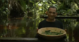 'Oralidades' traz como tema os banhos de cheiro da Amazônia.