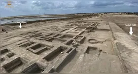 Além dos círculos de plantio, os arqueólogos também identificaram outras estruturas no local, incluindo alojamentos que teriam abrigado soldados e, possivelmente, suas famílias.