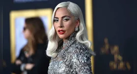 A artista muito querida no país e no cenário da música mundial, sempre foi conhecida por suas extravagâncias na forma de se vestir por um jeito autêntico no estilo.