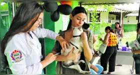 Mutirão da Ufra oferece vacinação e atendimento veterinário gratuito para cães e gatos em Belém.