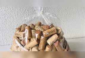 Reciclagem criativa transforma resíduos em itens úteis, decorativos e sustentáveis
