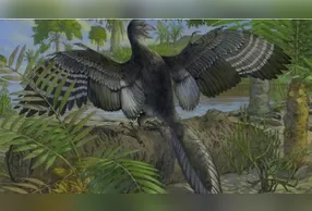 Imagem de dinossauro voador