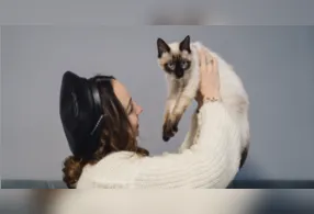 Segundo especialistas, os motivos mais recorrentes para esse hábito incluem busca por atenção, fome, desejo de companhia, tédio ou simples curiosidade.