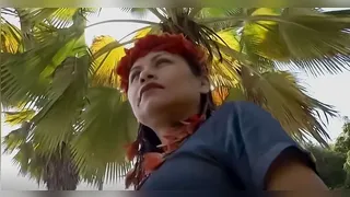 Imagem ilustrativa do vídeo: Raízes indígenas e o uso sagrado da floresta