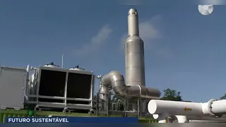 Imagem ilustrativa do vídeo: Energia limpa: lixo vira solução em Marituba