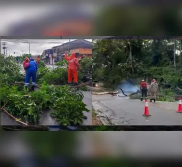 Imagem ilustrativa da imagem Chuva forte causa estragos em Bragança