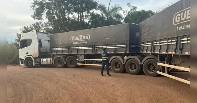 Imagem ilustrativa da notícia Sefa apreende mais de R$ 500 mil em soja e gado no Pará