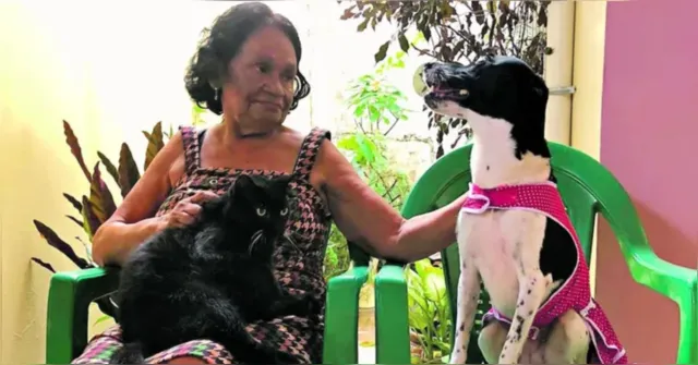 Imagem ilustrativa da notícia Ser 'mãe de pet' pode ser comparado com a maternidade?