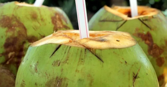 Imagem ilustrativa da notícia Homem morre após beber água de coco contaminada