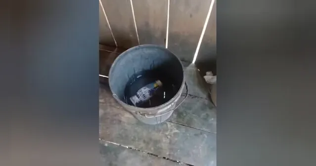 Imagem ilustrativa da notícia Criança morre afogada em balde de água no Pará