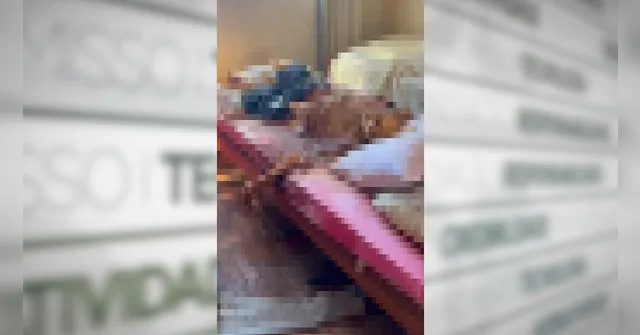 Imagem ilustrativa da notícia Filhos são presos no RJ por manterem cadáver do pai em casa