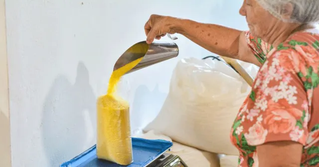 Imagem ilustrativa da notícia No Dia da Mandioca, Pará mira expansão da agroindústria regional
