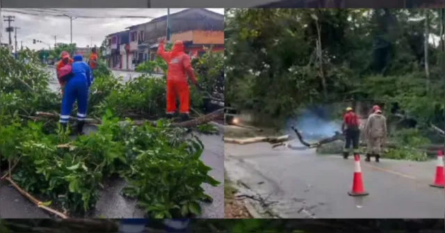 Imagem ilustrativa da notícia Chuva forte causa estragos em Bragança