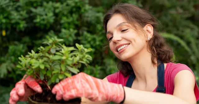 Imagem ilustrativa da notícia Como cuidar de plantas ajuda a viver mais e melhor