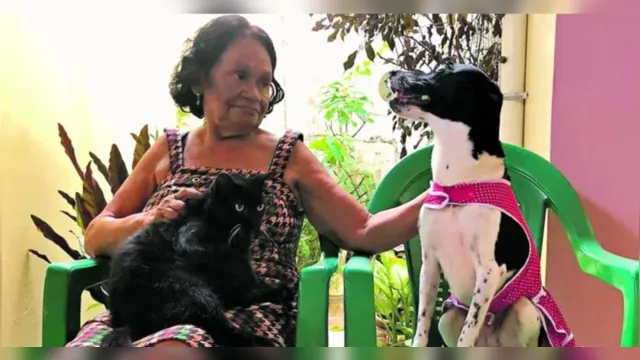 Imagem ilustrativa da notícia Ser 'mãe de pet' pode ser comparado com a maternidade?