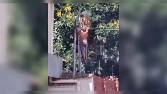Imagem ilustrativa da notícia Imagens fortes: homem leva descarga elétrica ao roubar fios