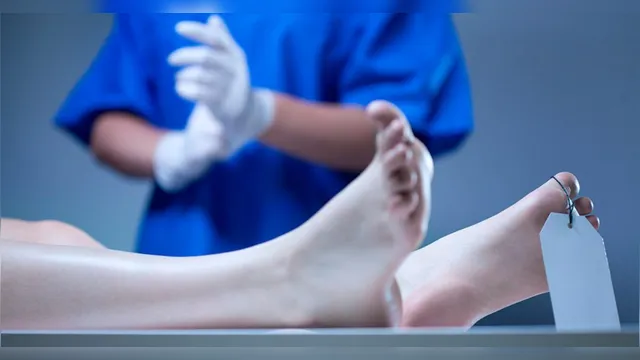 Imagem ilustrativa da notícia Entenda as técnicas de preservação do corpo após a morte