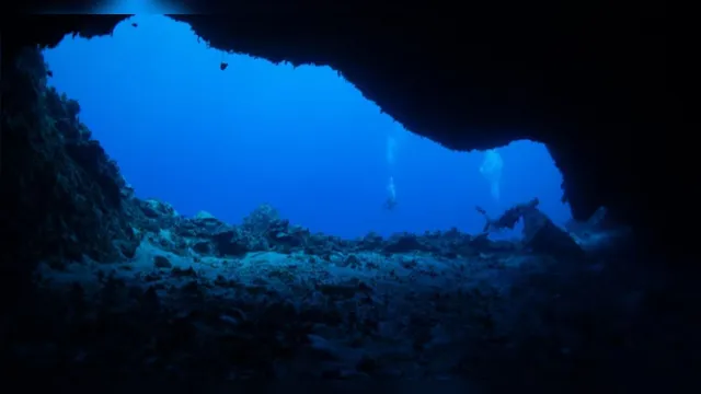 Imagem ilustrativa da notícia Por que os humanos não exploram o fundo do mar? Entenda o que ainda falta