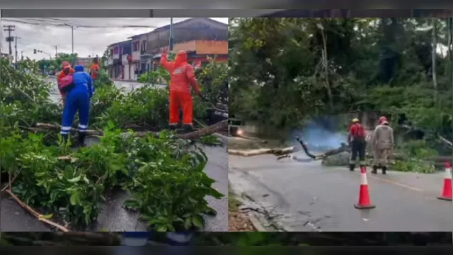 Imagem ilustrativa da notícia Chuva forte causa estragos em Bragança
