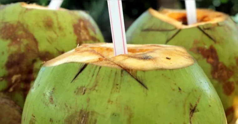Imagem ilustrativa da notícia Homem morre após beber água de coco contaminada