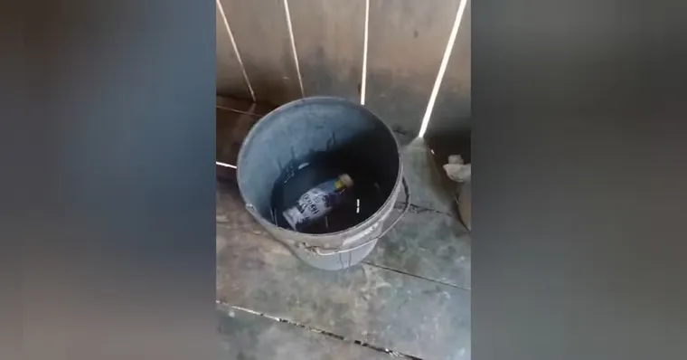 Imagem ilustrativa da notícia Criança morre afogada em balde de água no Pará