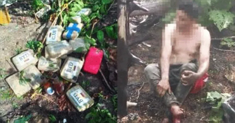 Imagem ilustrativa da notícia FAB abate avião com drogas em território indígena no Pará