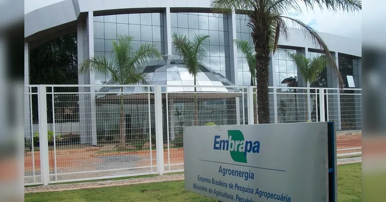 Imagem ilustrativa da notícia Concurso Embrapa: resultado e convocação para prova prática