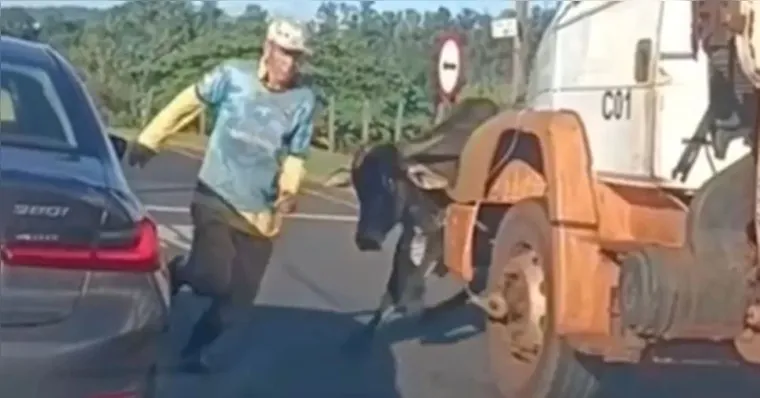 Imagem ilustrativa da notícia Vídeo: touro solto persegue homem e esmaga teto de BMW