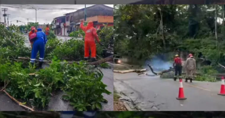 Imagem ilustrativa da notícia Chuva forte causa estragos em Bragança