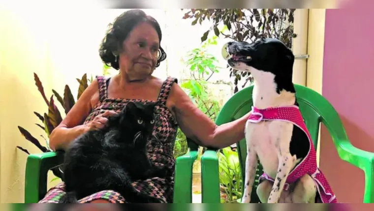 Imagem ilustrativa da notícia Ser 'mãe de pet' pode ser comparado com a maternidade?