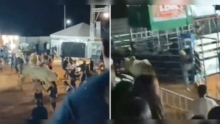 Imagem ilustrativa da notícia Vídeo: touro invade arquibancada e causa correria em rodeio 