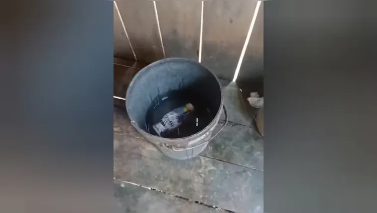 Imagem ilustrativa da notícia Criança morre afogada em balde de água no Pará