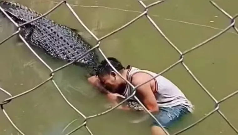 Imagem ilustrativa da notícia Vídeo: turista invade recinto de crocodilo e sofre temido "giro da morte"