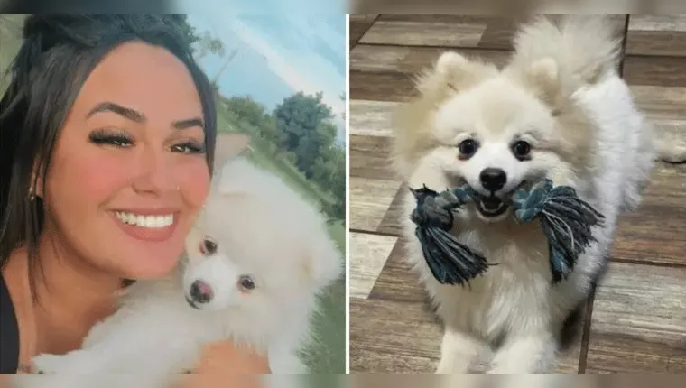 Imagem ilustrativa da notícia Homem mata cachorro da ex a facadas e foge; mulher pede justiça