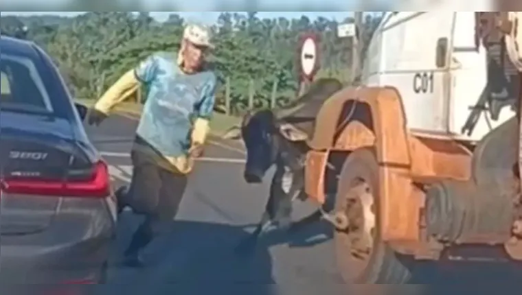Imagem ilustrativa da notícia Vídeo: touro solto persegue homem e esmaga teto de BMW
