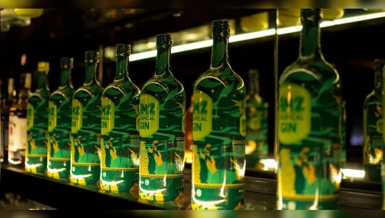 Imagem ilustrativa da notícia Gin Castanha-do-Pará ganha concurso nacional de destilados