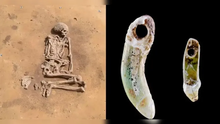 Imagem ilustrativa da notícia Joias com dentes de cachorro são achadas em túmulo Neolítico
