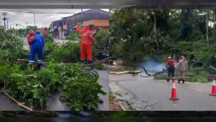 Imagem ilustrativa da notícia Chuva forte causa estragos em Bragança