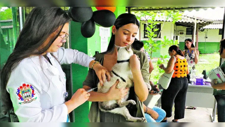 Imagem ilustrativa da notícia Ação da Ufra tem vacinação e cuidados veterinários gratuitos