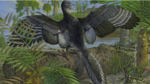 Imagem de dinossauro voador