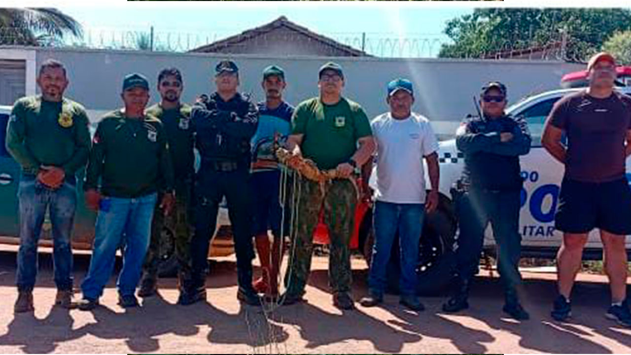 A equipe policial chegou ao local e conseguiu impedir que o jacaré fosse ferido ou morto