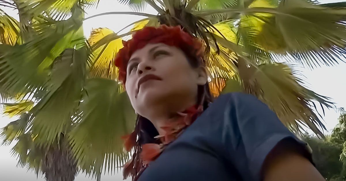 Imagem ilustrativa da notícia: Raízes indígenas e o uso sagrado da floresta