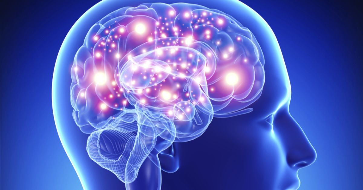 Segundo Singh, o hábito protege contra o risco de doenças como Alzheimer e outras demências, preservando o volume cerebral, principalmente em áreas como o hipocampo (estrutura essencial para a memória).