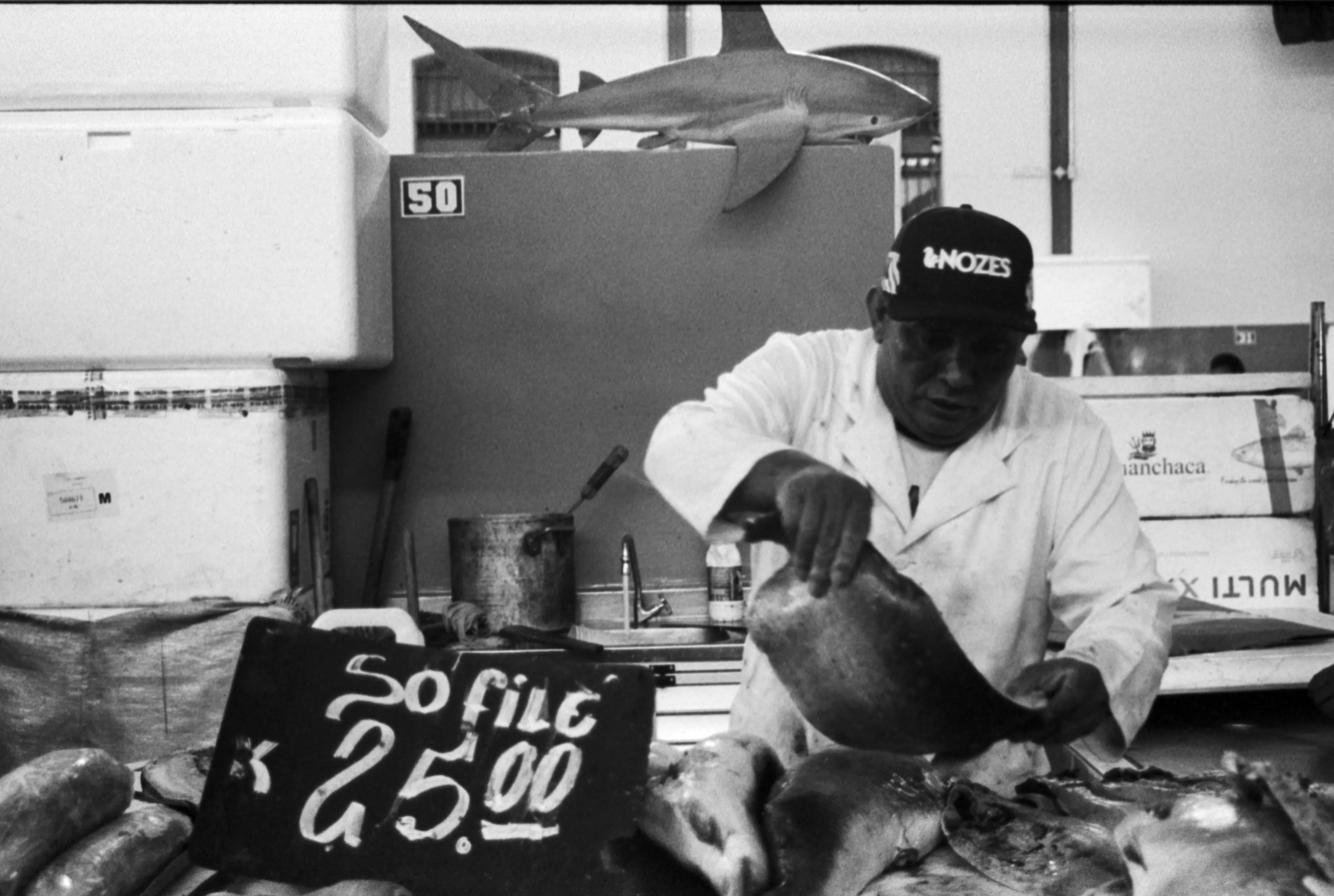 A fotografia analógica ainda é muito usada nas redes sociais.