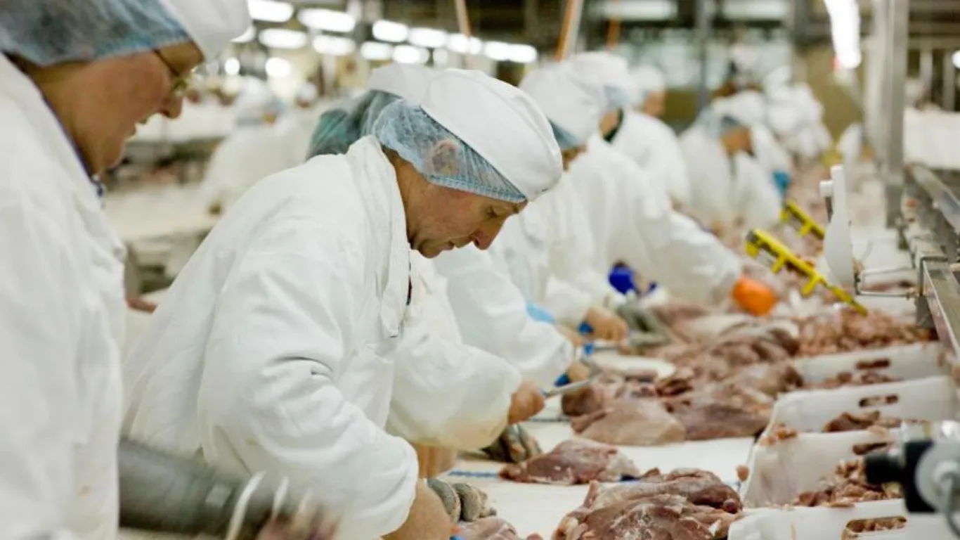 A JBS, uma das maiores empresas de alimentos do mundo, é um exemplo dessa expansão, anunciando 37 vagas de emprego para sua unidade Friboi no distrito de Casa de Tábua