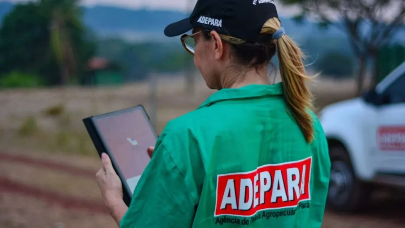 As oportunidades estão distribuídas em 34 municípios e dois distritos, buscando profissionais para atuar nas unidades da agência