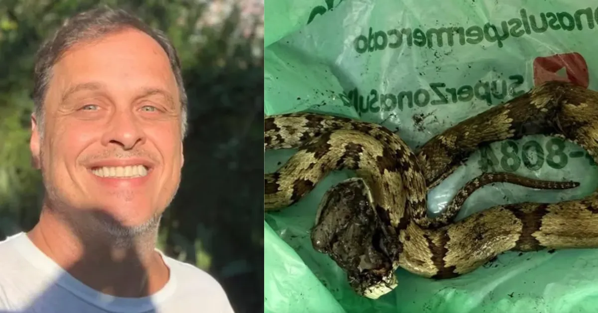 Guilherme Fontes mostra o dedo com bolhas após picada de jararaca e alerta: “Doeu mais do que consigo explicar”.