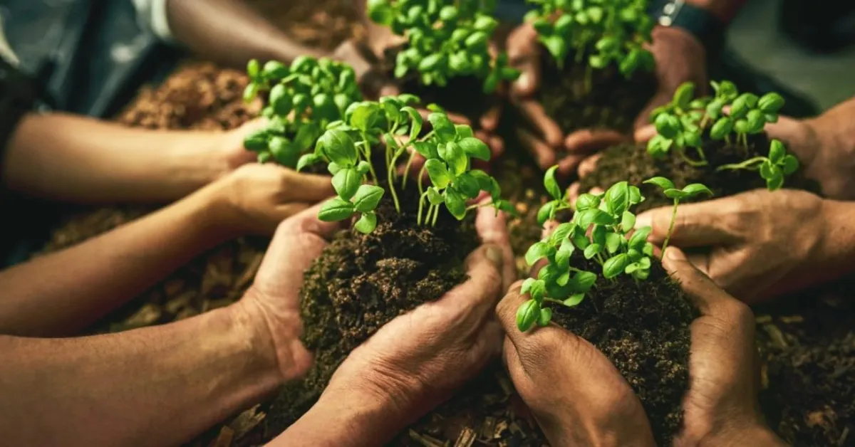 Produtor rural brasileiro: elo central de uma cadeia que precisa ser produtiva, rentável e regenerativa para garantir o futuro da produção agropecuária