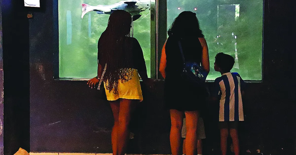 O aquário é uma das atrações do Museu Paraense Emílio Goeldi, ponto de visita obrigatório